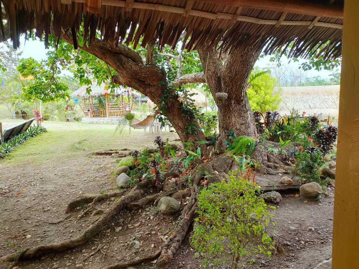 Grandview Guest house *